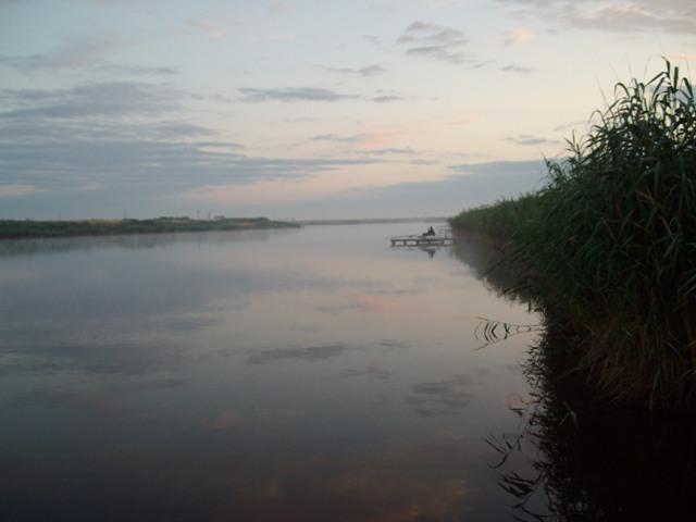 Doar ... NATURA - 4 - sany0850.JPG